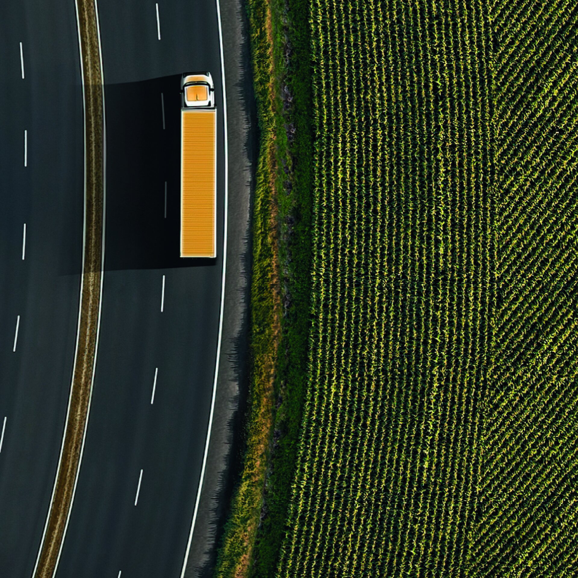 Yellow Truck on Road next to green field.